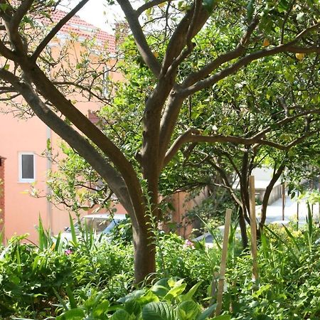 Apartment Podgora 518B ภายนอก รูปภาพ